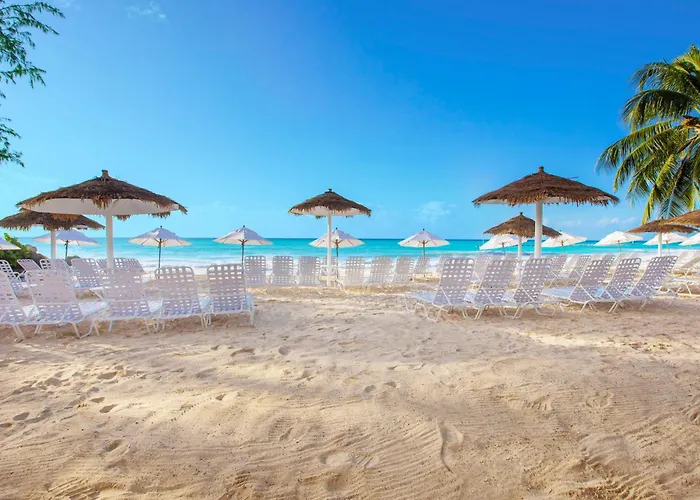 Bougainvillea Barbados